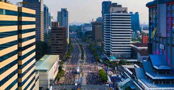 佛跳墙2023永久免费下载